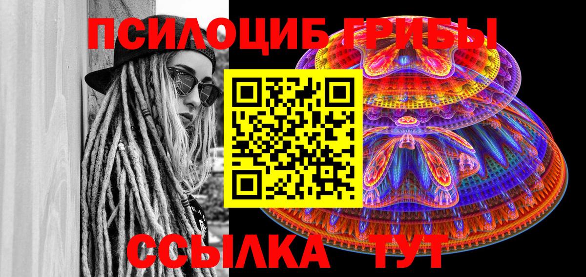 Галлюциногенные грибы мицелий  Вход с VPN  где купить   Котлас 